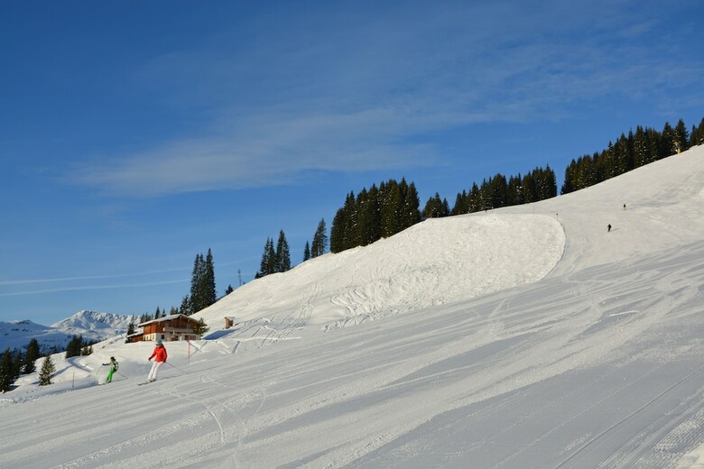 Alpine Premium Chalet Wallegg-lodge