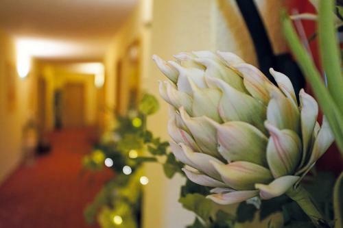 Hotel Und Restaurant B�hlhaus