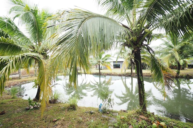 Hotel Sai Rung Resort