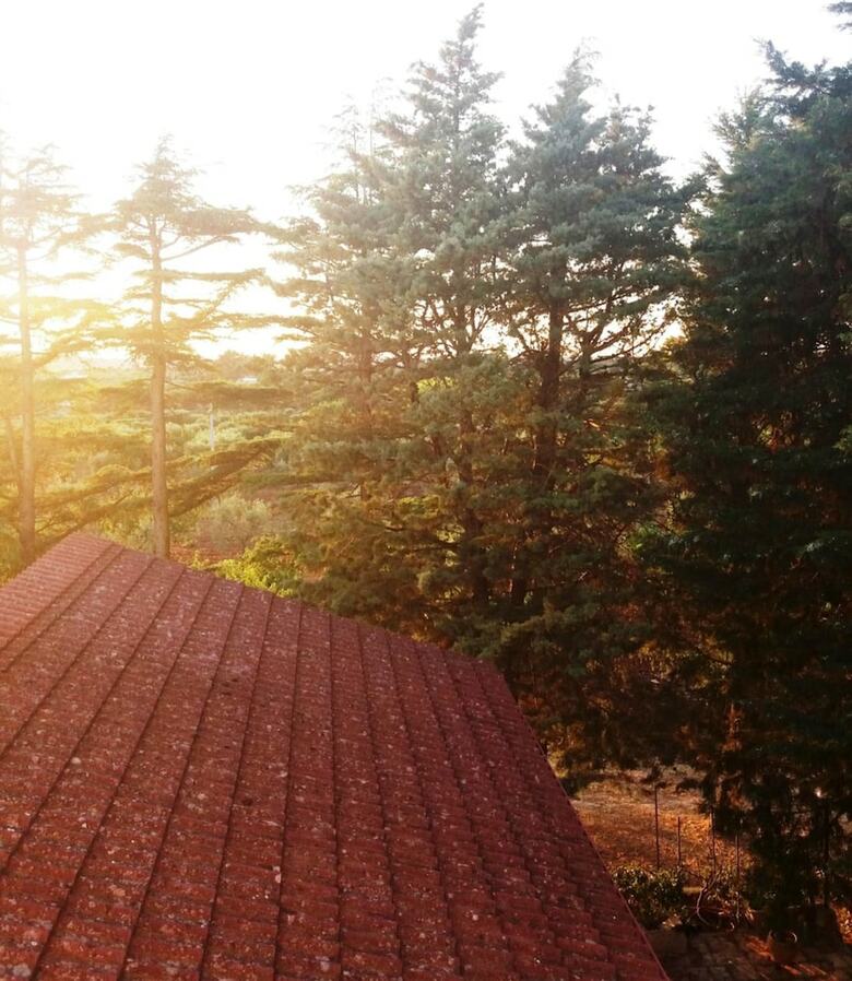 Bed & Breakfast Dimora Romano