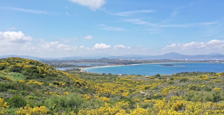 Apartamento Capo Ceraso Family Residence