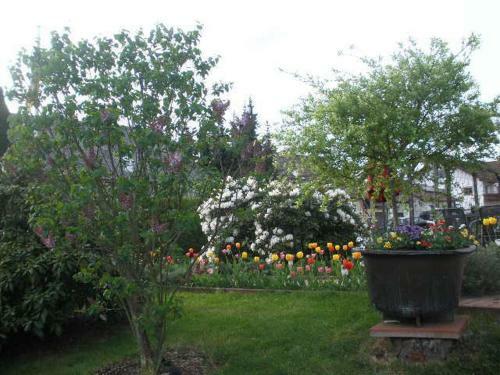 Hostal Pension Haus Irmgard