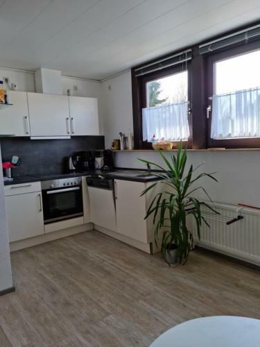 Hostal Pension Haus Irmgard