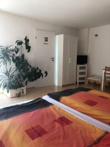 Hostal Privatzimmer Bellevue