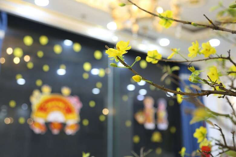 Tuyet Son Hotel