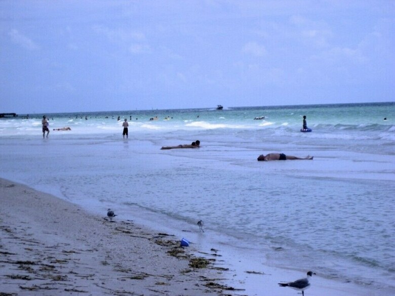Beach Sands A 102 By Anna Maria