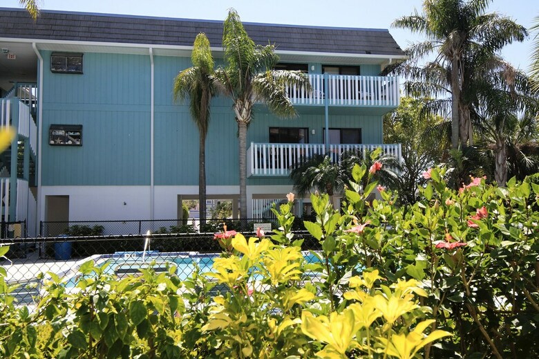 Beach Palms 6b By Anna Maria