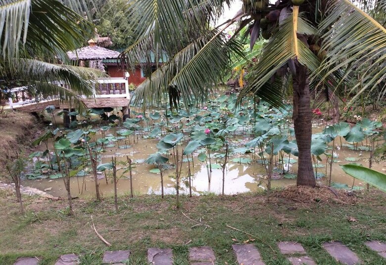 Hotel Himawari Restaurant & Cottage
