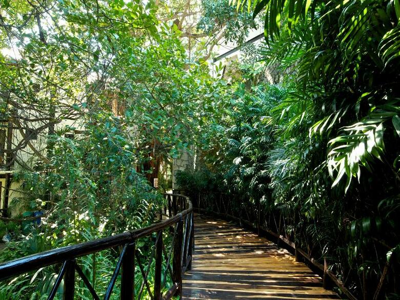 Hotel The Reef Playacar