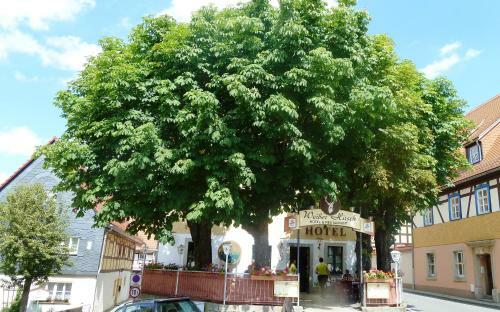 Meister B�r Hotel S�chsische Schweiz