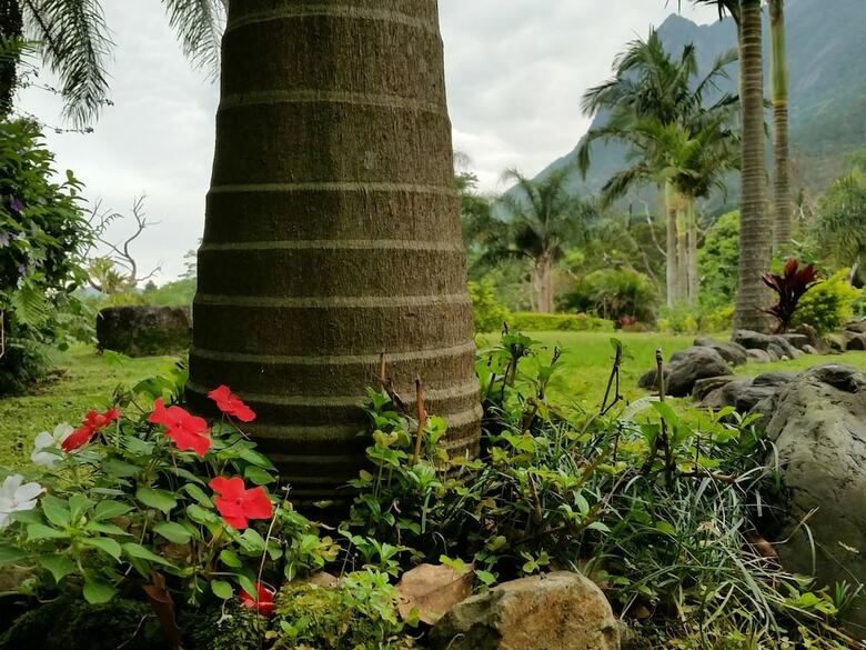 Hotel Cottage Hana Mana
