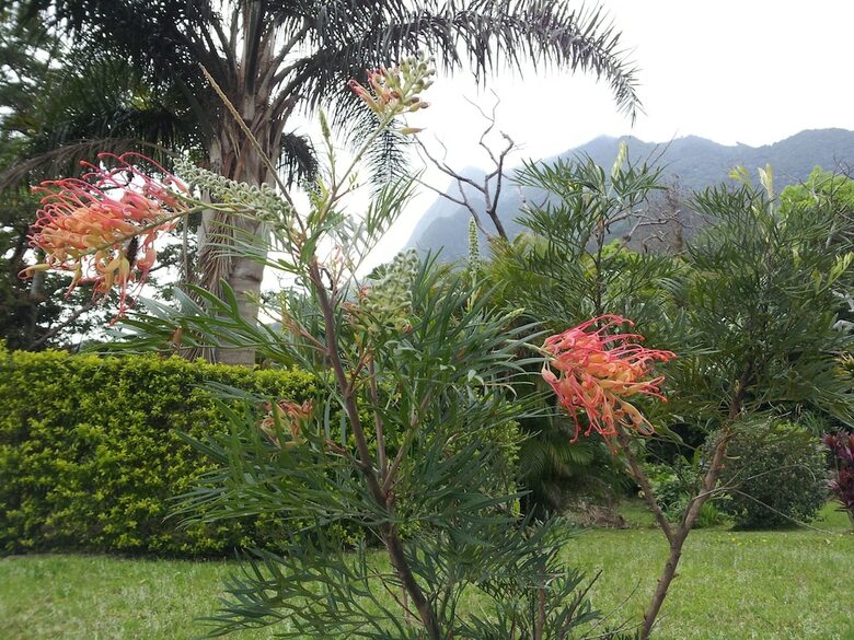 Hotel Cottage Hana Mana