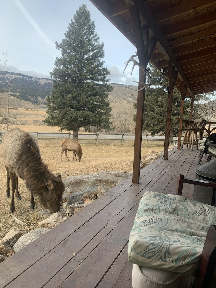 Little Trail Creek Cabins
