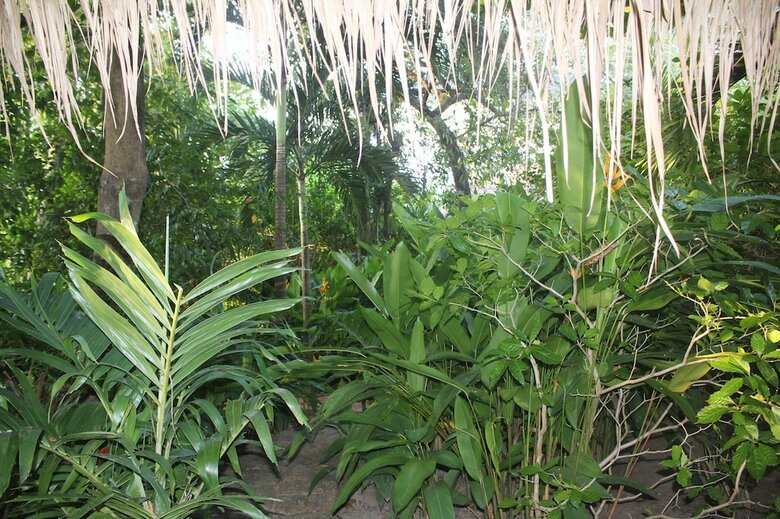 Hotel Botanica Guesthouse