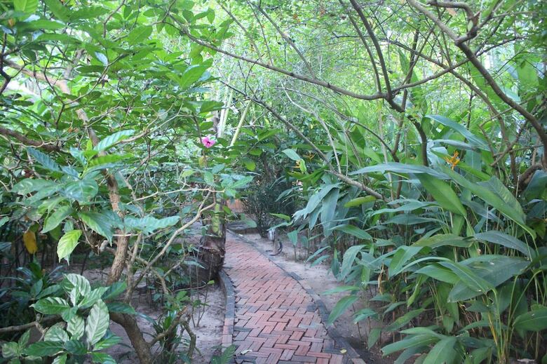 Hotel Botanica Guesthouse