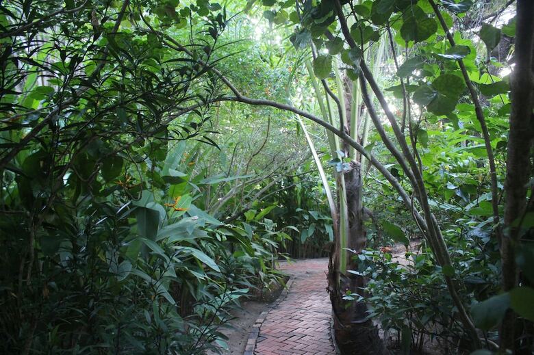 Hotel Botanica Guesthouse