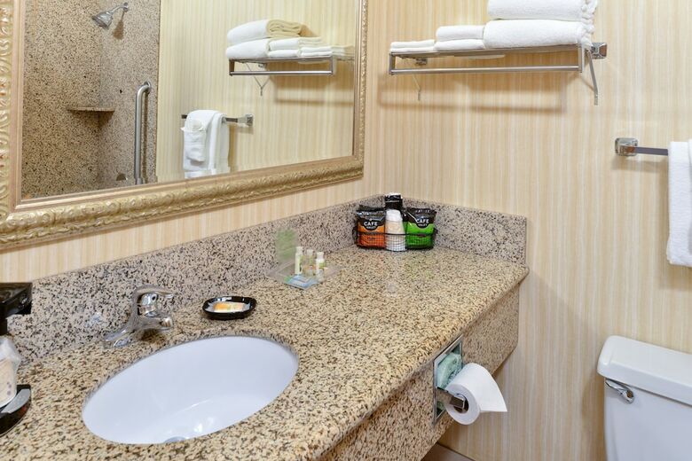 Hotel Holiday Inn Great Falls- Convention Center