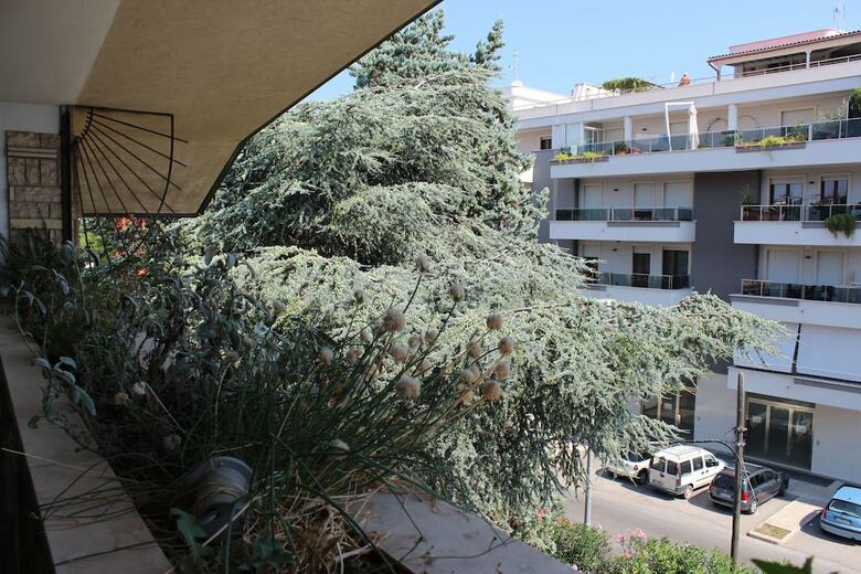 Bed & Breakfast Villa Wanda - Residenza Di Charme