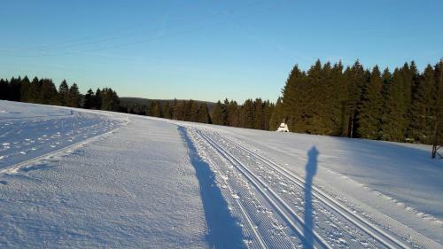 Apartamento Ferienwohnung Hauptmann