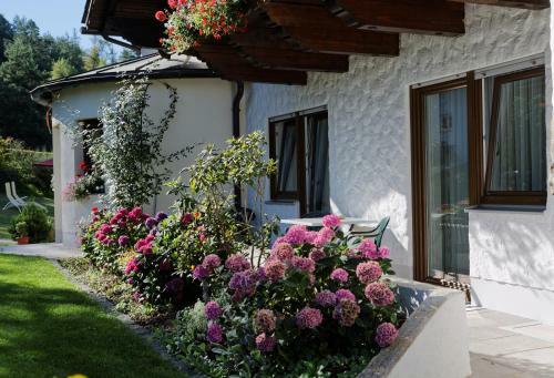 Hostal Pension Bergstub`n