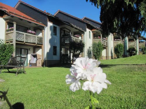 Apartamentos Ferienanlage Harzfreunde