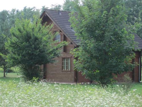 Holzhaus Am Silbersee