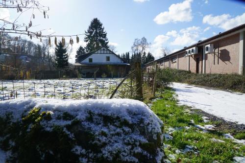 Mammut Apartments