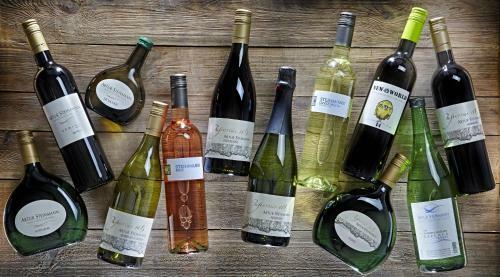 Hostal Hotel & Weingut Im Pastoriushaus