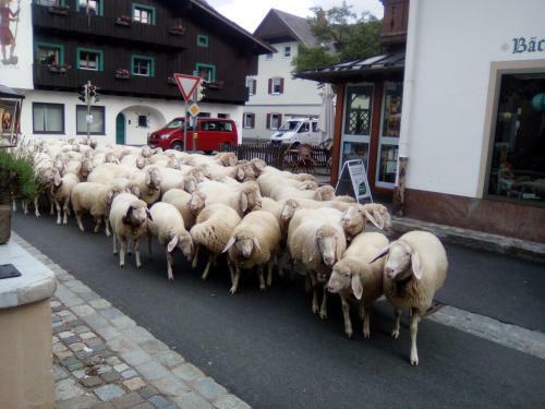 Hotel Landgasthof Kirchmayer