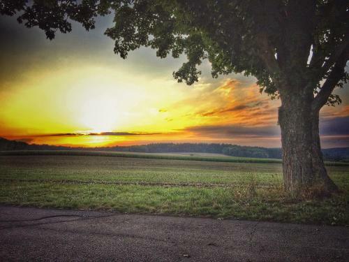 Hostal Schenk�s Landgasthof