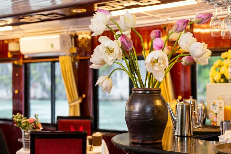 Swan Cruises Halong
