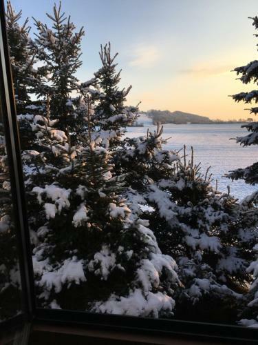 Hotel G�stehaus Hannelore