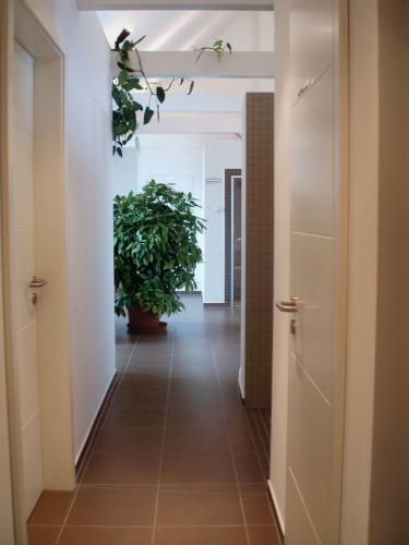 Hotel Gasthof Diem