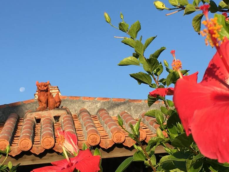 Hotel Araha Resort Arapana
