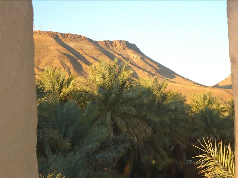 Hotel Riad Tagmadart Ferme D'h�te