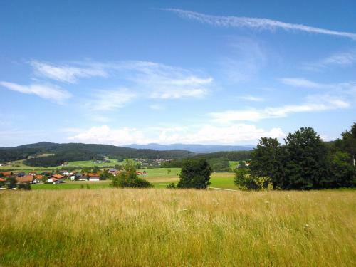 Hostal Gasthof-pension-kraus