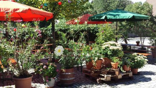 Hostal Landgasthof Sternbr�u