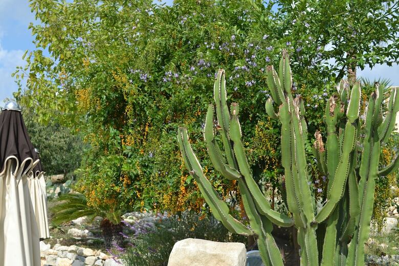 Hotel Antica Masseria Timparuci