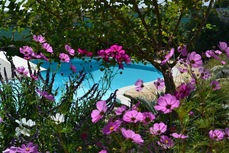 Hotel Antica Masseria Timparuci