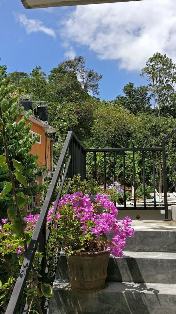 Hotel Aluthgedara Guest House