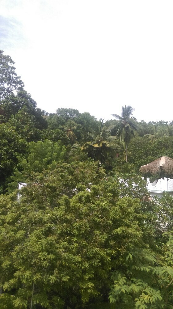 Hotel Aluthgedara Guest House