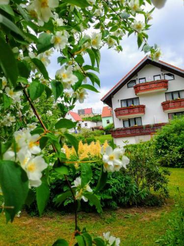 Apartamento G�stehaus Regina