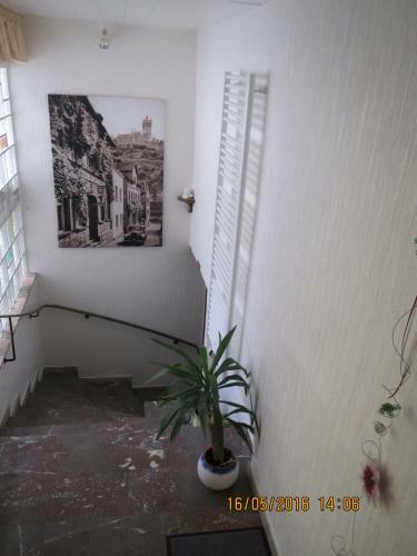 Hostal Hotel Und G�stehaus Gute Quelle