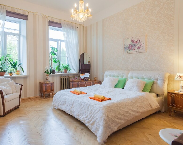 Spacious Aparts Near Mariinsky Theatre