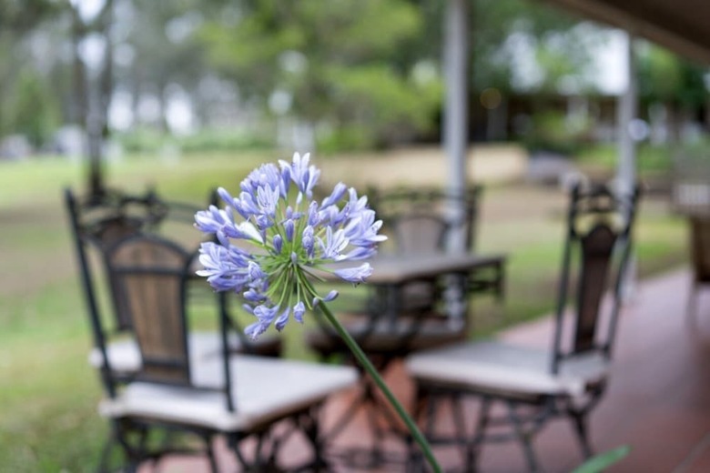 Hotel Thistle Hill Guest House