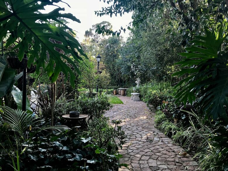 Hotel Pepper Tree Bnb