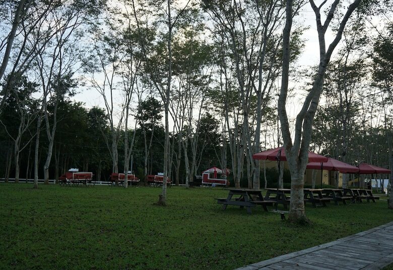 Hotel Singha Park Chiang Rai Camping