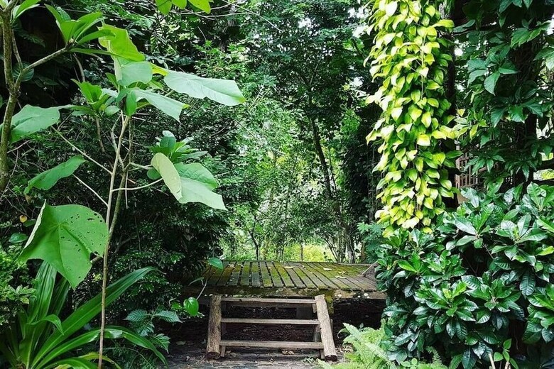 Hotel Aum Hum Homestay
