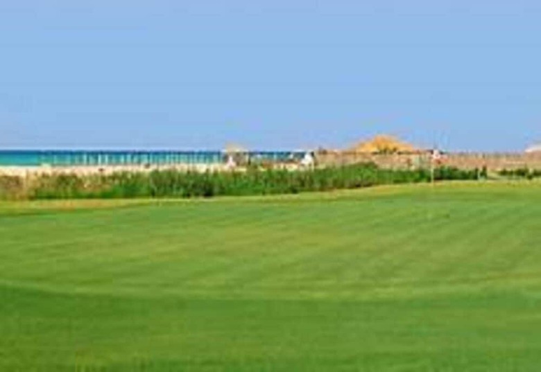 Hotel H�tel Les Palmes D'or