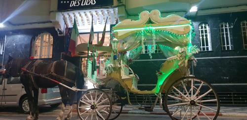 Hotel H�tel Des Lilas